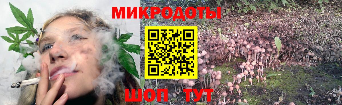 Галлюциногенные грибы GOLDEN TEACHER  Вход с VPN  Павловский Посад 